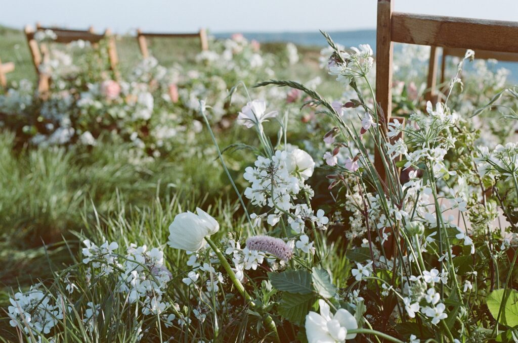 Pembrokeshire Elopement Photographer 