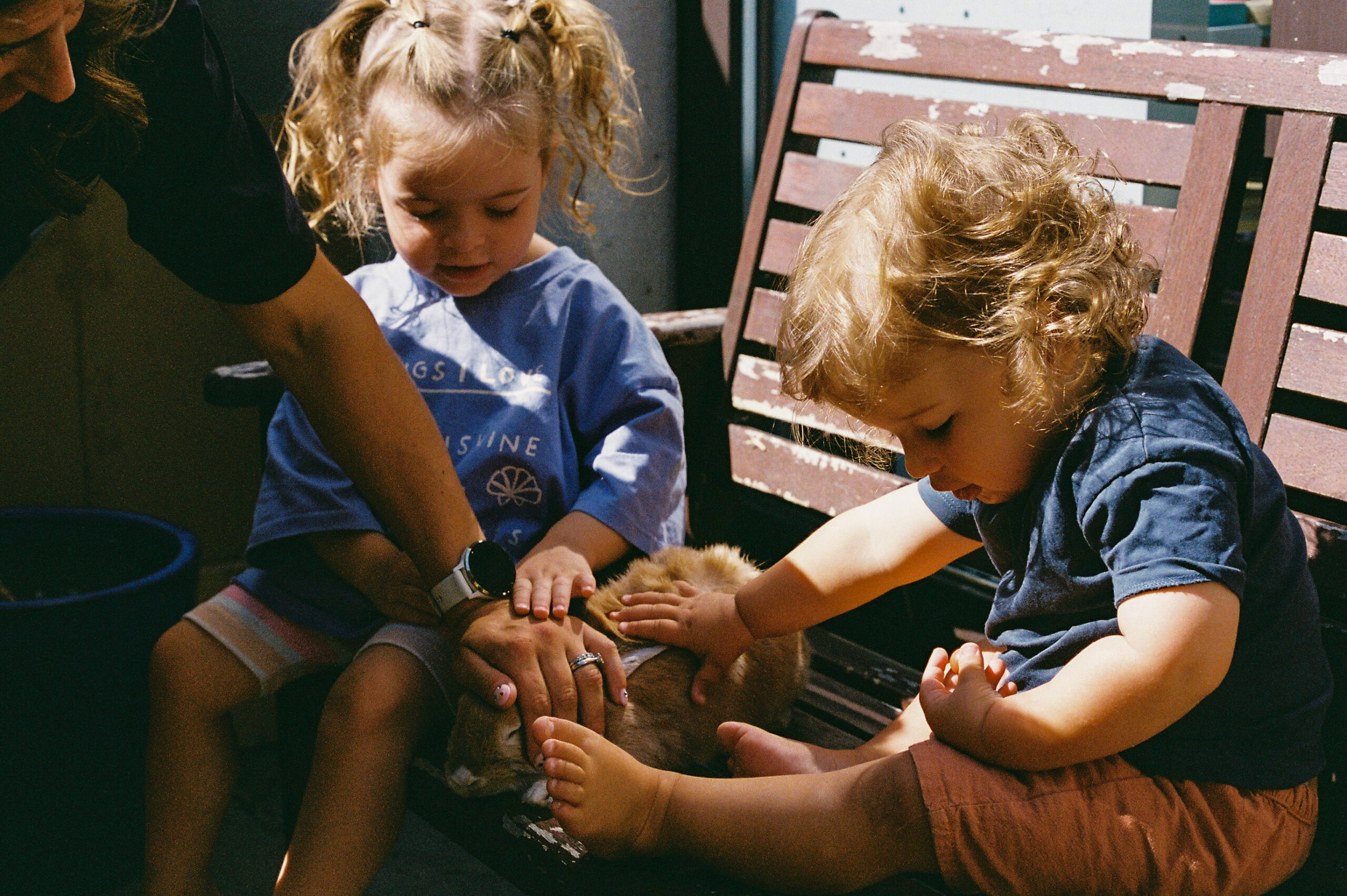 Analog Family Photography